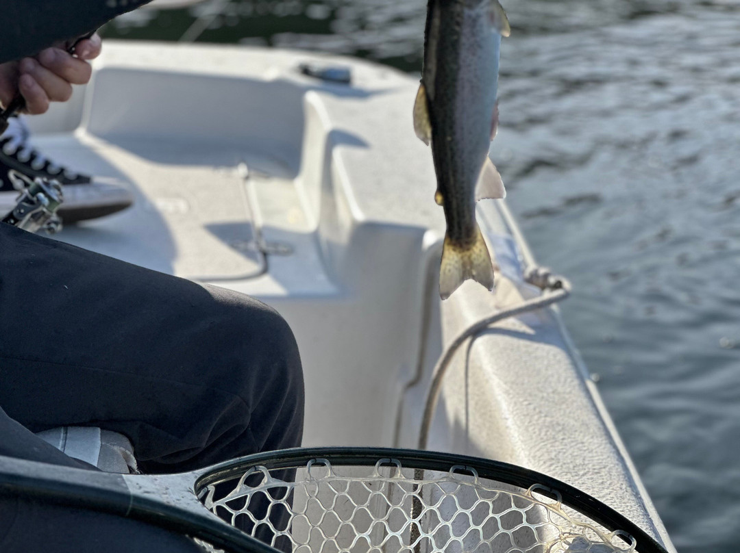 John Sappington's Branson Fishing Guide Service-布兰森必去景点