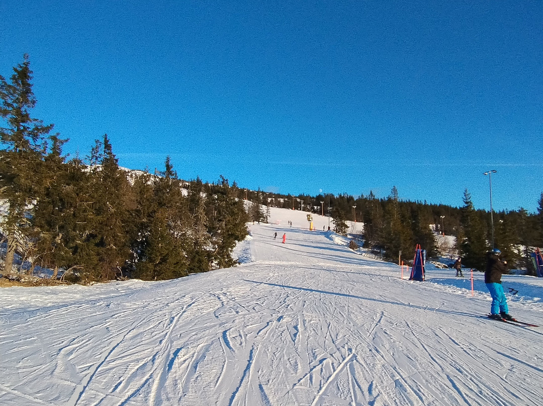 Norefjell Skiresort-Noresund必去景点