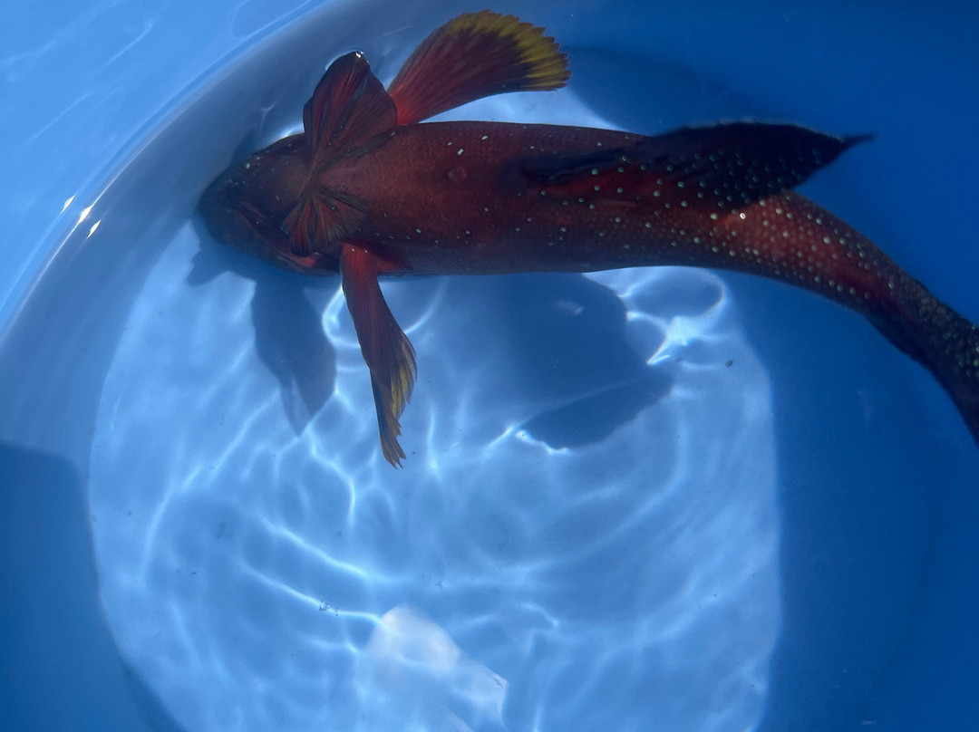 Bang On Tours-赫尔格达必去景点