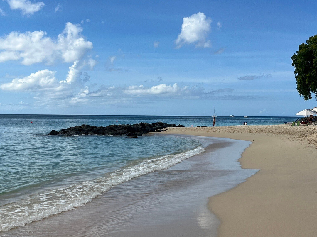 Folkestone Marine Park & Visitor Centre-Holetown必去景点