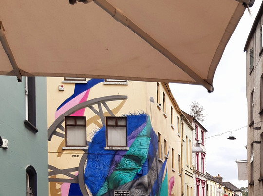 Waterford Treasures: King Of The Vikings-沃特福德必去景点