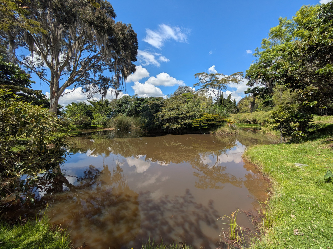 Eco Parque Conscientia Universallis-莱瓦镇必去景点