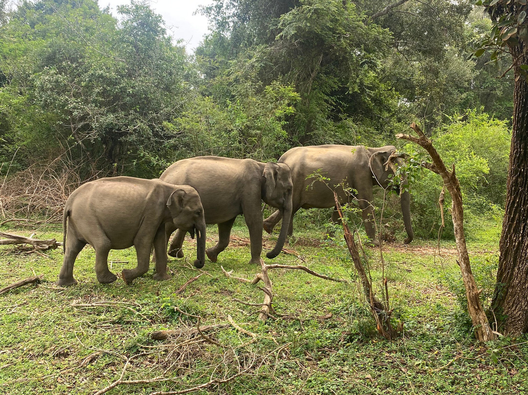 Freedom Safari Jeep Tours-蒂瑟默哈拉默必去景点
