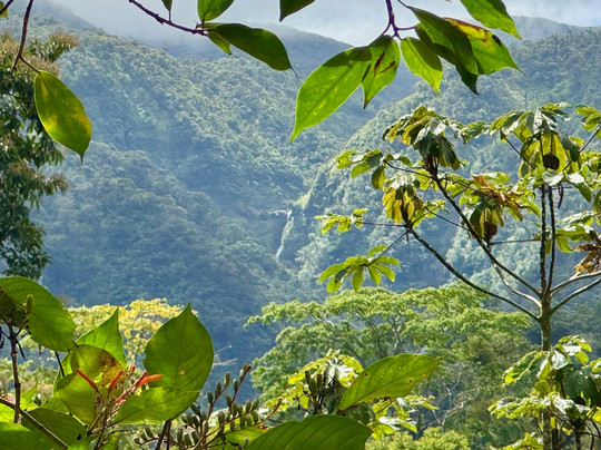 Miravalles Mountain View-Bijagua de Upala必去景点