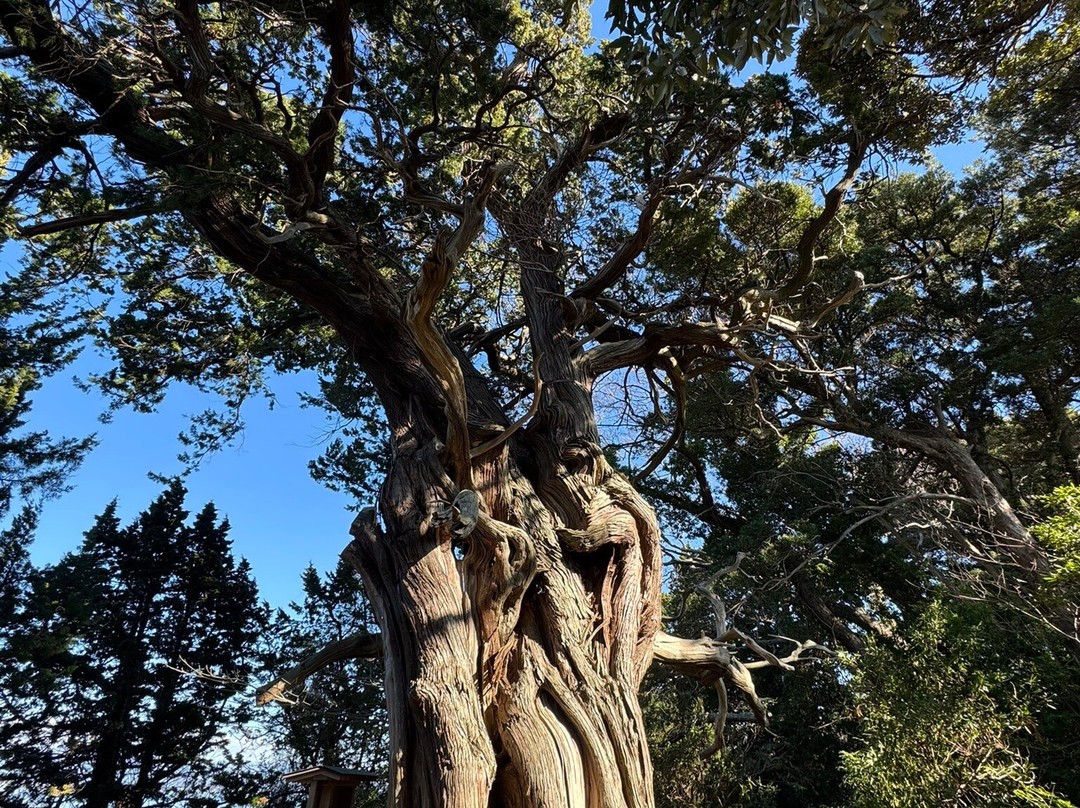Ose Shrine-沼津市必去景点