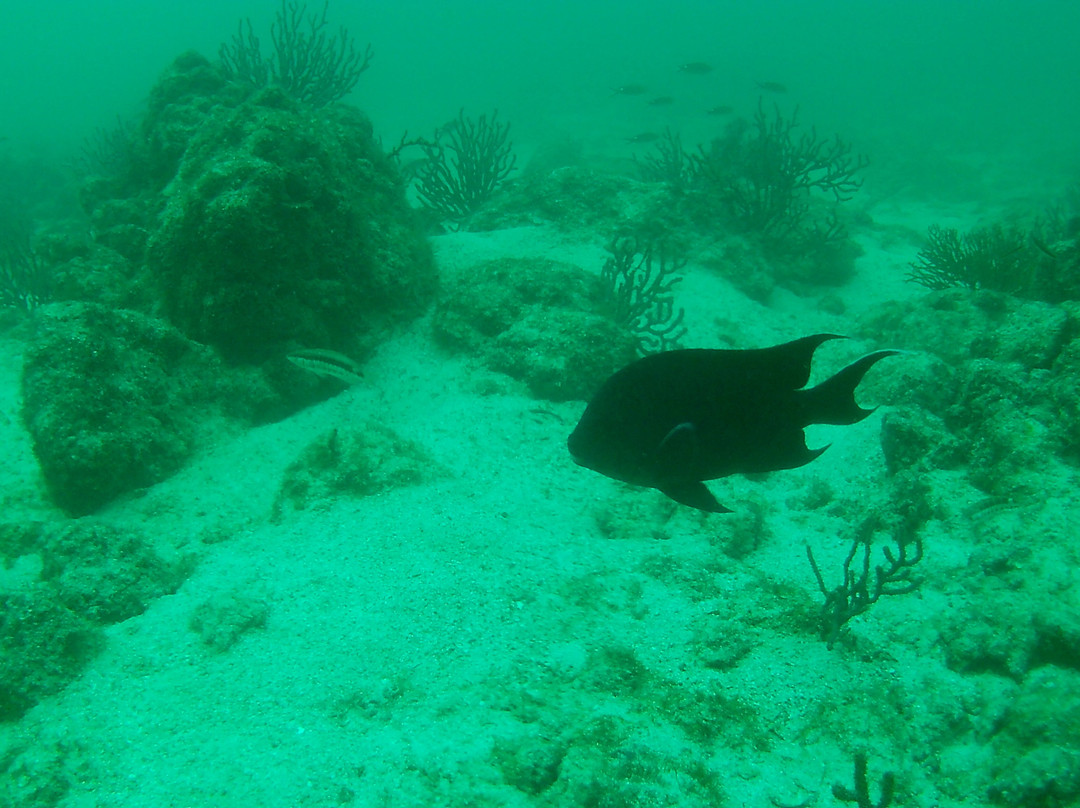 Blue Nation-洛雷托必去景点