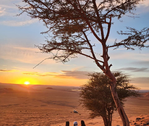 Rutas Al Desierto-马拉喀什必去景点