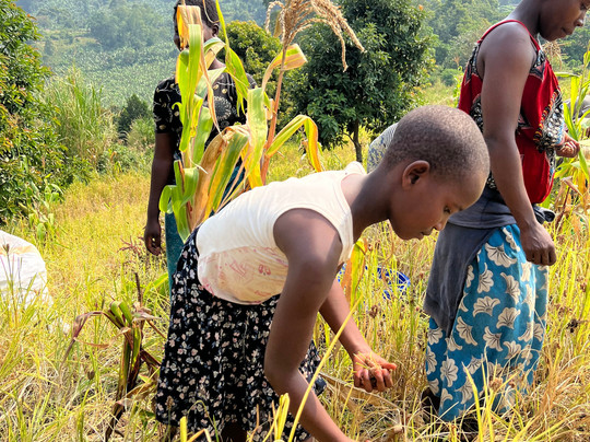 Uganda Crater Lakes Tours-Fort Portal必去景点