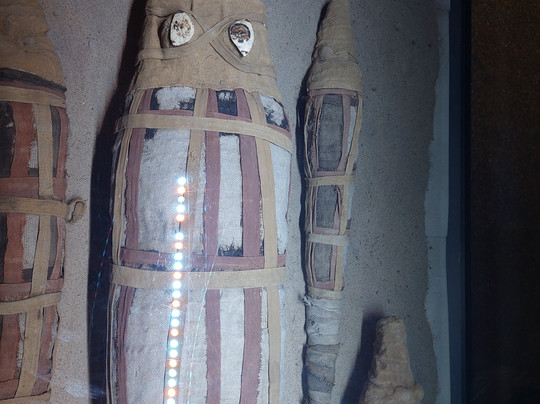 Crocodile Museum-Kom Ombo必去景点