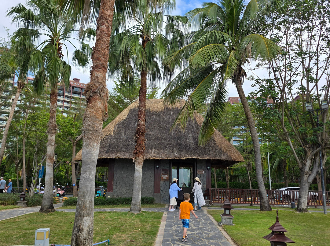 椰梦长廊-三亚市必去景点