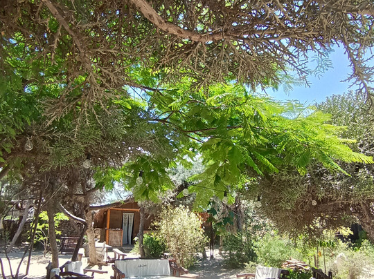 Kokoa Sands Guest House - Ankasy Madagascar主图