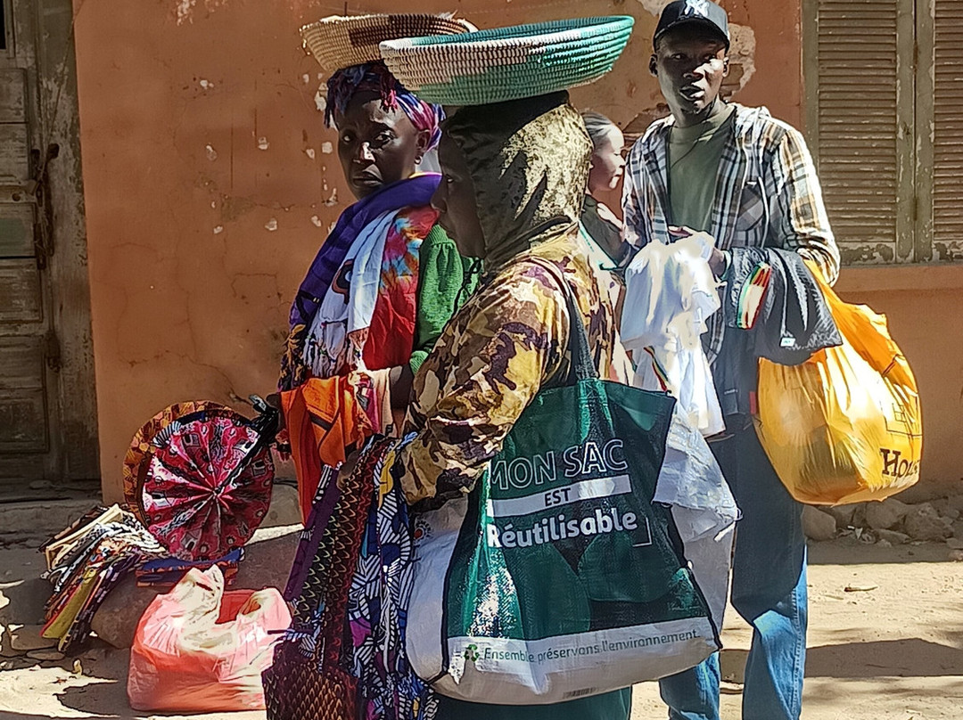 Bacary Tour-Nianing必去景点