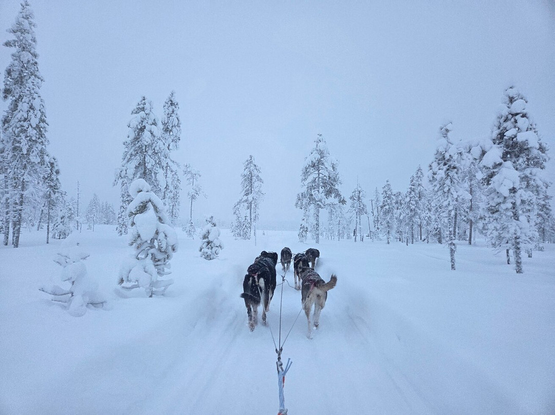 Maglelin Experience-Kittilä必去景点
