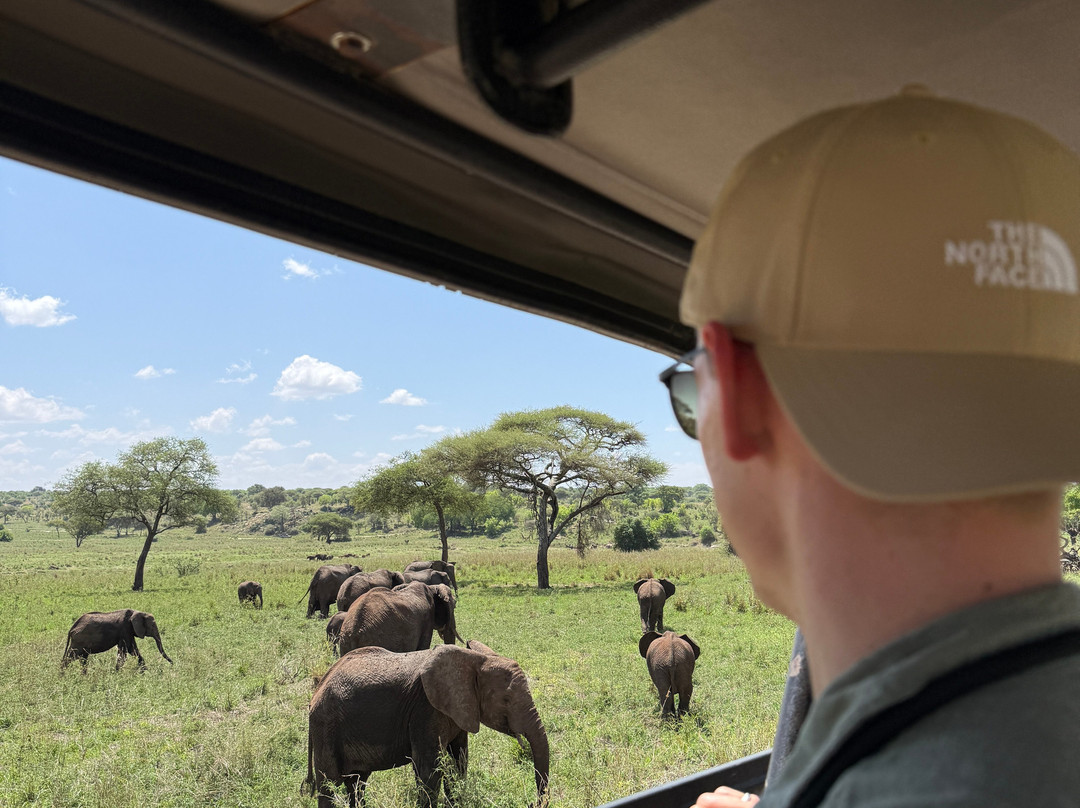 Tanzania Specialist-阿鲁沙必去景点