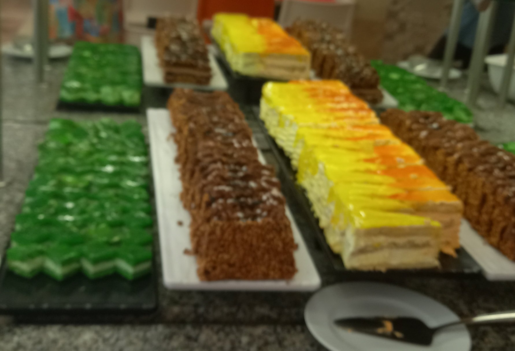 Park Hotel Odessos-官方