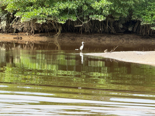 Brunei River-斯里巴加湾必去景点