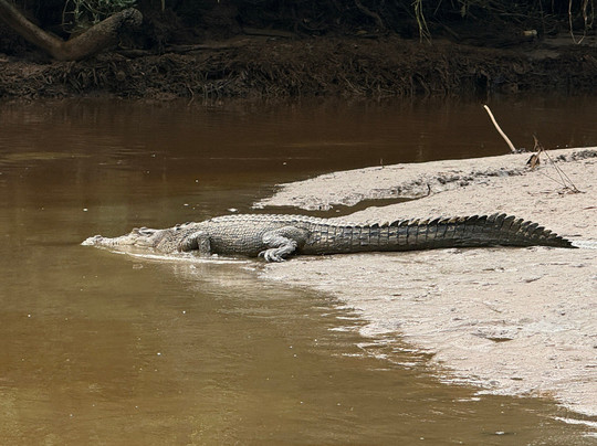 Brunei River-斯里巴加湾必去景点