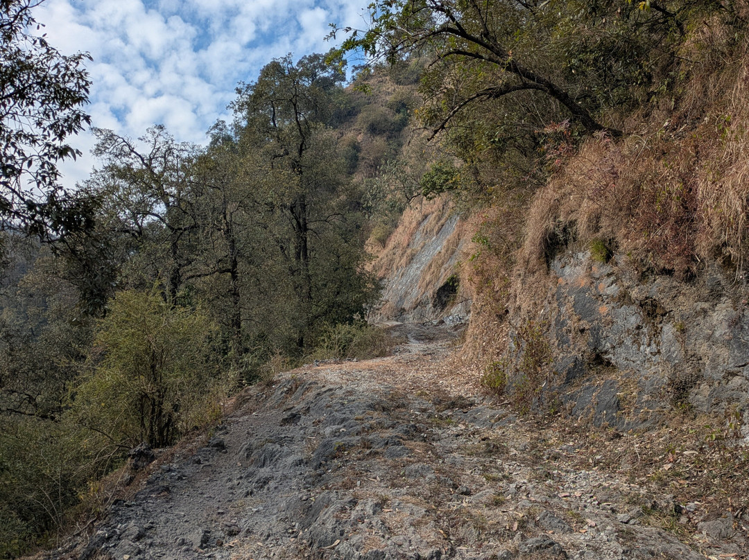 Benog Wildlife Sanctuary-马苏里必去景点