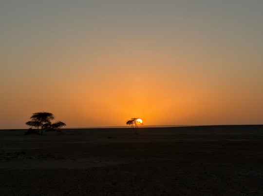 Mauritania desert voyages-诺克少必去景点