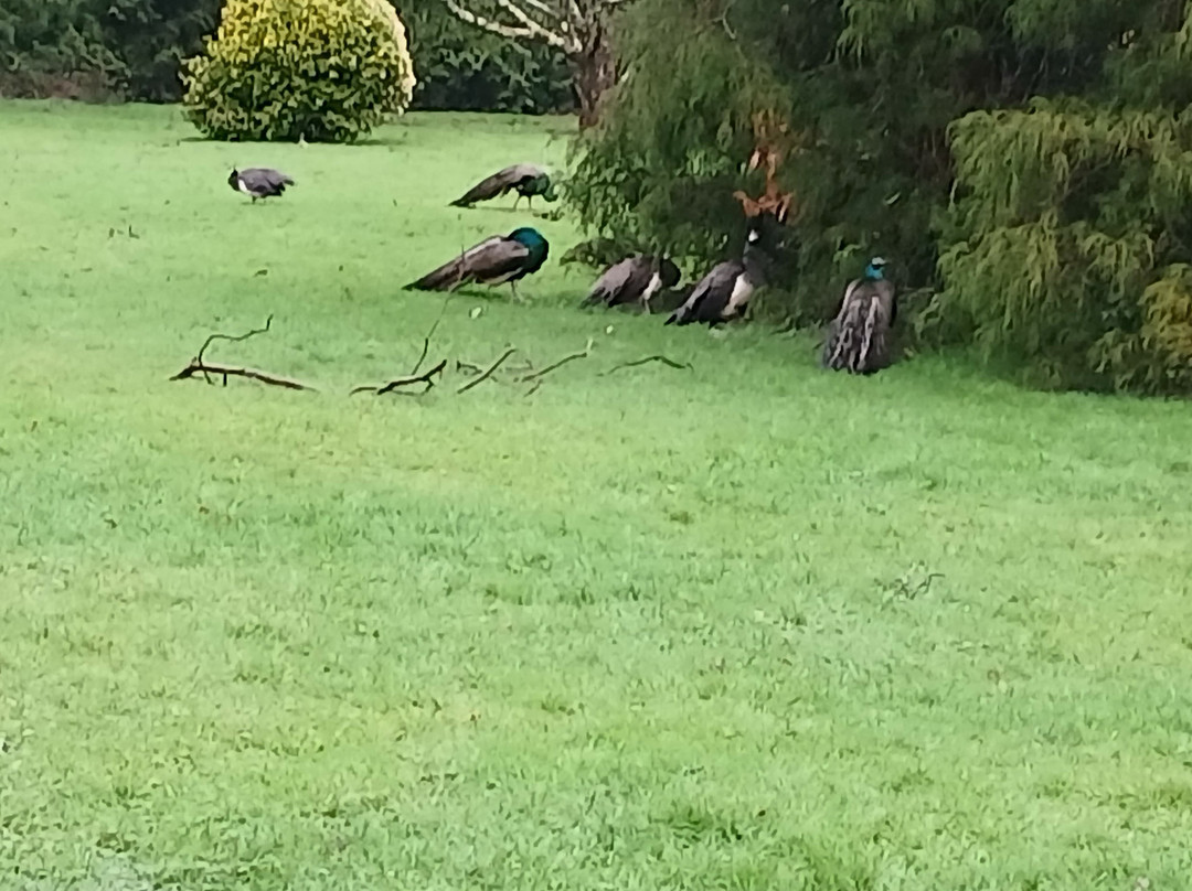 Johnstown Castle-County Wexford必去景点