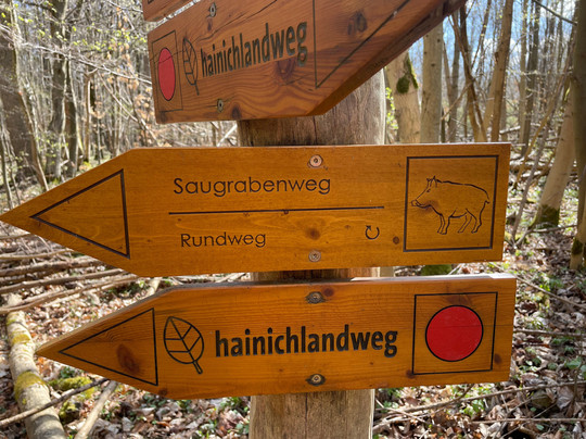 Nationalpark Hainich-Bad Langensalza必去景点