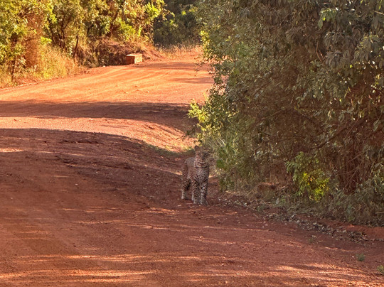 Mist Rwanda Safaris-Ruhengeri必去景点