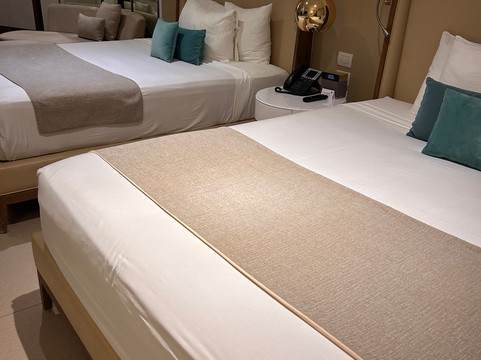 内格里尔卡利斯玛蔚蓝海滩度假村 - 餐点全包主图