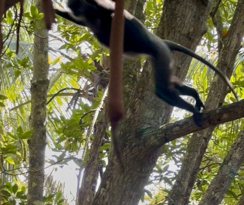 Lucky Boat Safari-班托塔必去景点