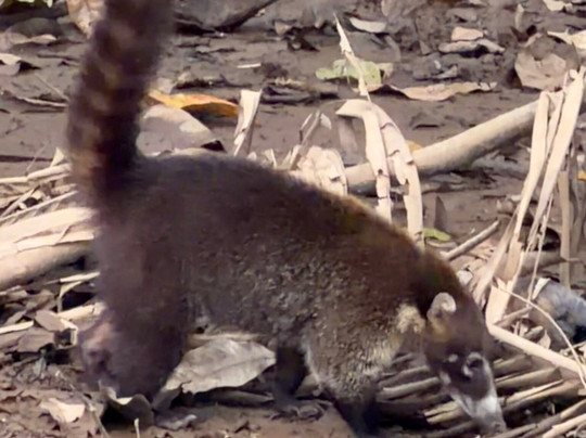 Top Travel Costa Rica-圣何塞必去景点