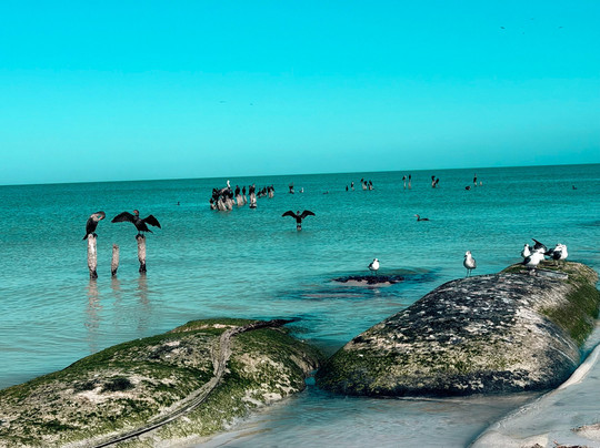 Ana y Jose Hotel Beach Club Holbox