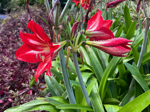 Retire in Panama Tours | Move to Panama | Panama Relocation Experts-波魁特必去景点