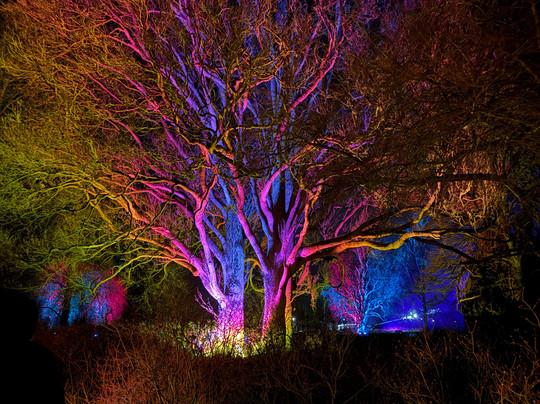 Bad Pyrmont Kurpark-Bad Pyrmont必去景点