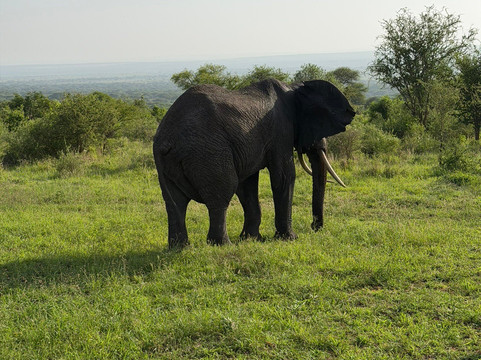 歌珊地非洲游猎之旅-阿鲁沙必去景点