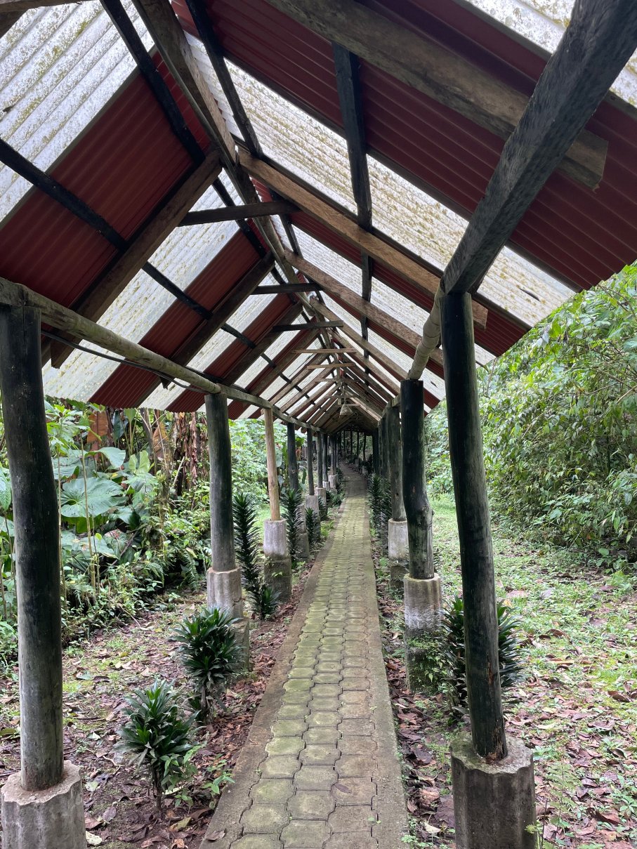 El Septimo Paraiso - Mindo-官方