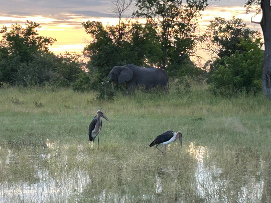 Khwai Guest House主图