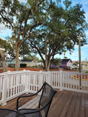 Encore Tropical Palms-官方