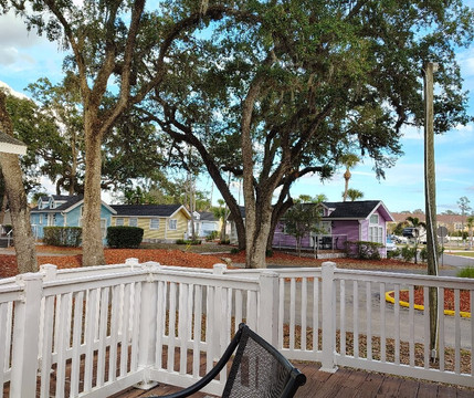 Encore Tropical Palms主图