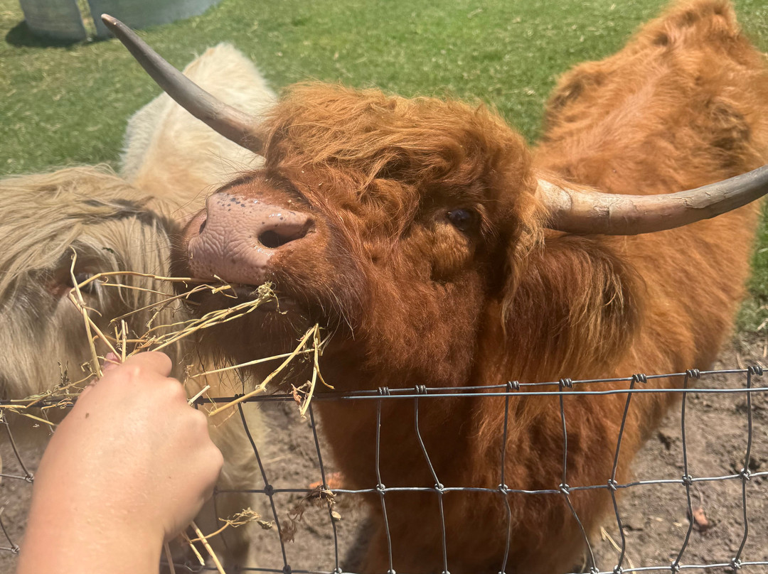 Splitters Farm-邦德堡必去景点