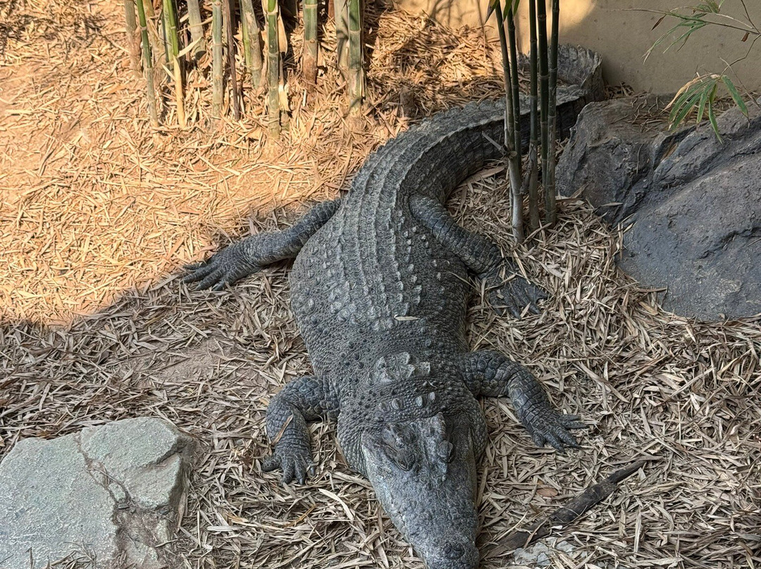 Angkor Wildlife & Aquarium-暹粒必去景点