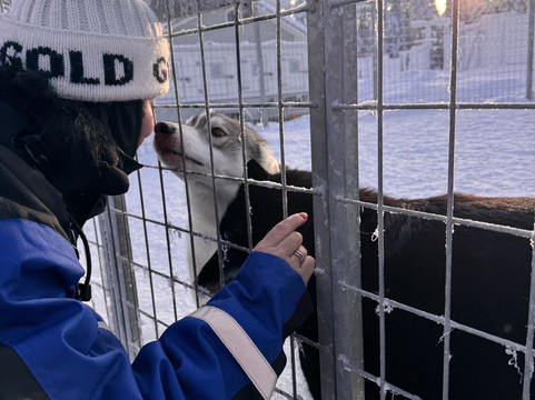 Era-Susi Huskies - Day Tours-Rukatunturi必去景点