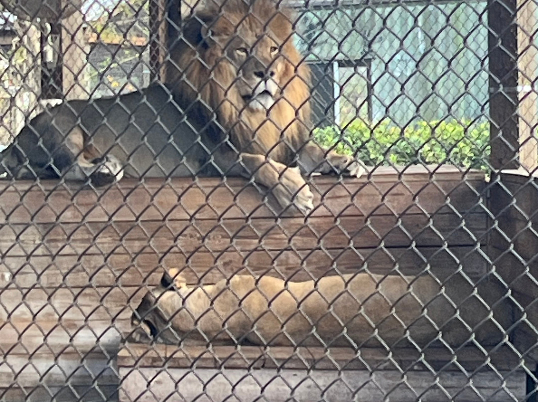 Central Florida Animal Reserve-圣克劳德必去景点