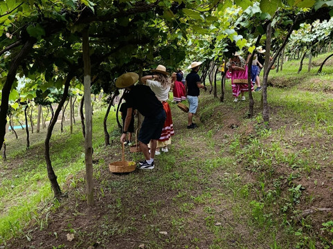 Vinícola Casa da Árvore-Sao Roque必去景点
