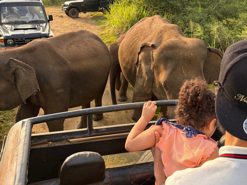 Ceylon leisure travels with sanju-Ja Ela必去景点