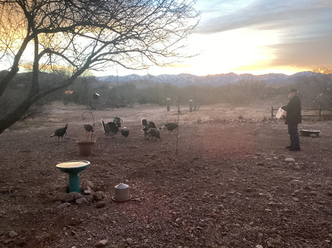 Dreamcatcher Inn At Chiricahua主图