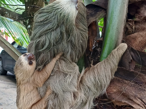 World Evasion-圣何塞必去景点