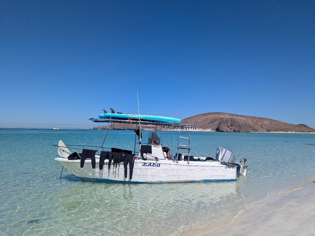 On Board Baja-拉巴斯必去景点