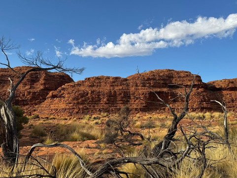 Mulgas Adventures-爱丽斯泉必去景点