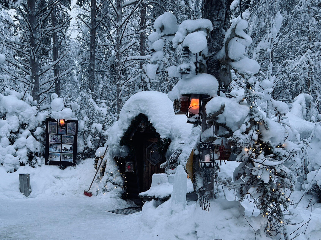 Tundra Huskies Huskyfarm-Levi必去景点