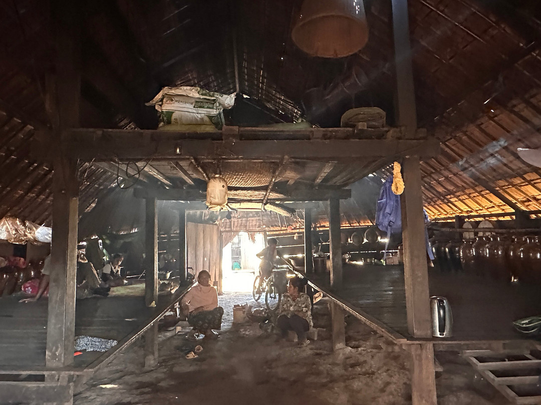 Elephant Community Project - Day Tours-森莫诺隆必去景点