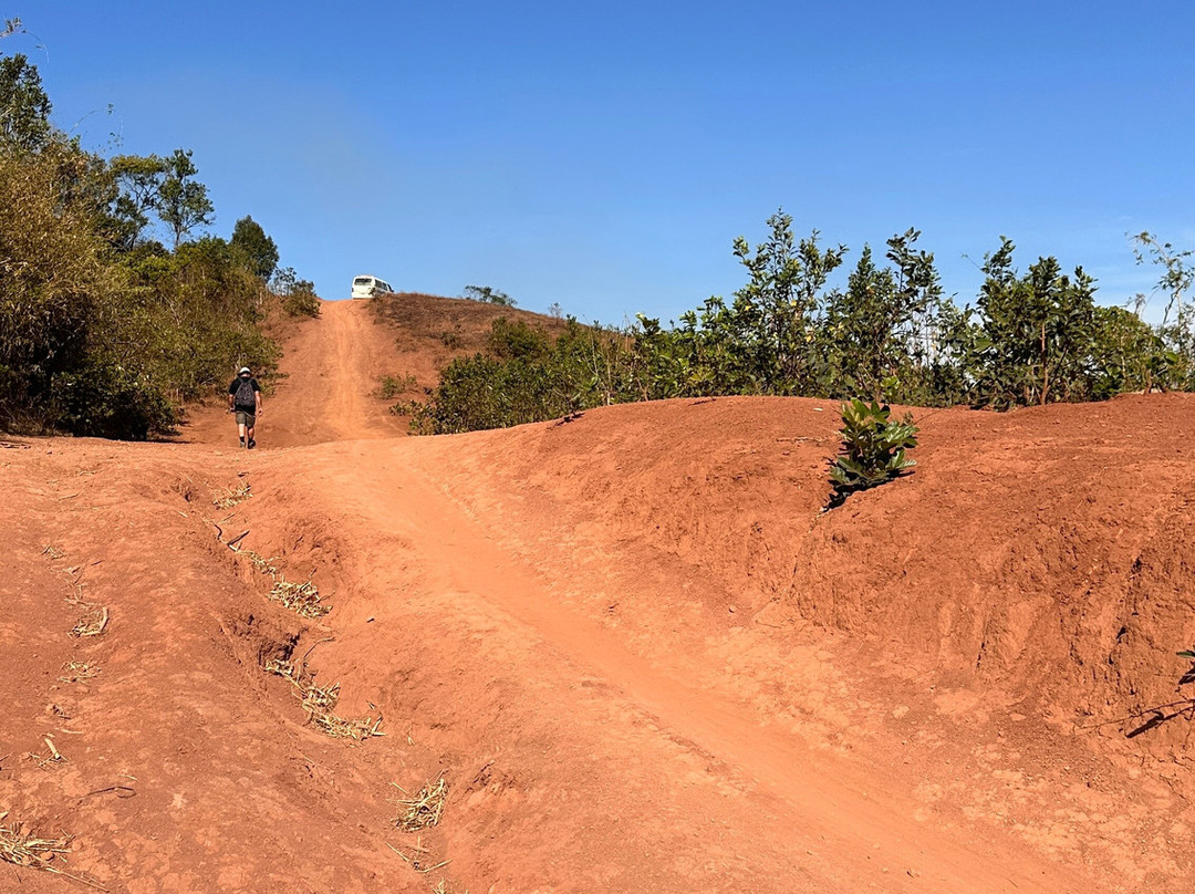 Elephant Community Project - Day Tours-森莫诺隆必去景点
